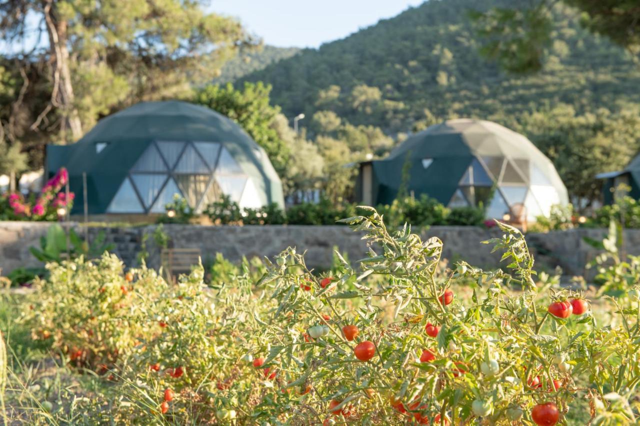 Lusso Glamping Hotel Bodrum