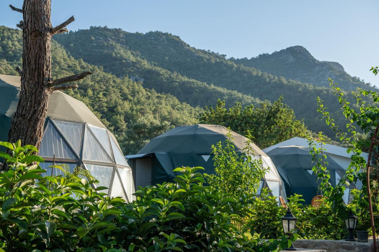 Lusso Glamping Bodrum