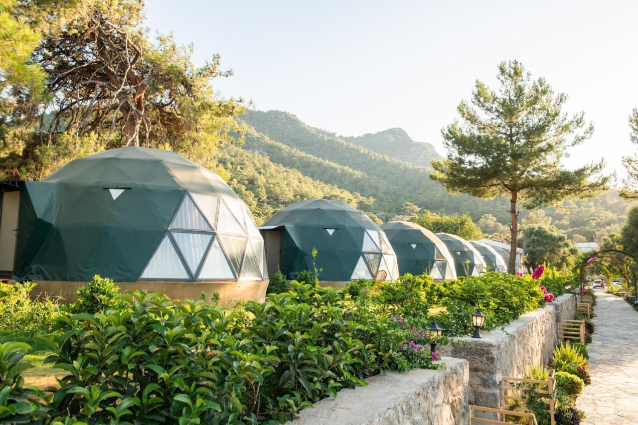 Hotel Lusso Glamping